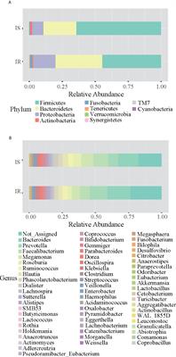 Gut Microbiota of Chinese Obese Children and Adolescents With and Without Insulin Resistance